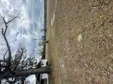 14304 County Road 275 - Photo 113