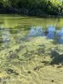 TBD Blue Springs Road - Photo 10