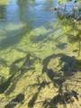 TBD Blue Springs Road - Photo 11
