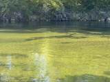 TBD Blue Springs Road - Photo 13