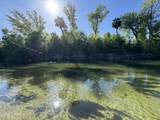 TBD Blue Springs Road - Photo 14