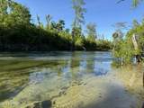 TBD Blue Springs Road - Photo 17