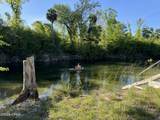 TBD Blue Springs Road - Photo 23