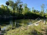 TBD Blue Springs Road - Photo 24