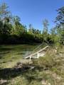 TBD Blue Springs Road - Photo 9