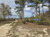 15089 Granny Annie Road - Photo 23