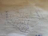 tbd Douglas Landing Road - Photo 6