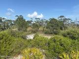 TBD Cape San Blas Road - Photo 16