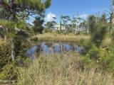 TBD Cape San Blas Road - Photo 3