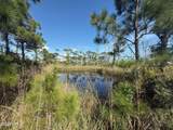 TBD Cape San Blas Road - Photo 8