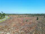 TBD Lot #3, Sw County Road 275 - Photo 6