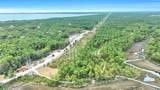 6400 Sundew Marsh Trail - Photo 11