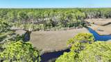6400 Sundew Marsh Trail - Photo 12