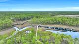 6400 Sundew Marsh Trail - Photo 14