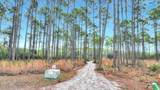 6400 Sundew Marsh Trail - Photo 4