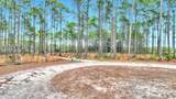 6400 Sundew Marsh Trail - Photo 5