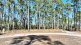 6400 Sundew Marsh Trail - Photo 6