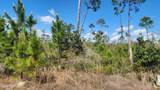 2727 Sting Ray Road - Photo 3