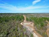 XX Cook/Cain Road - Photo 7