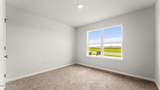 3127 Sawgrass Street - Photo 23