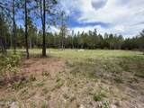 20460 Florida 71 - Photo 4