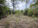 19678 Walsh Road - Photo 1