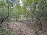 19678 Walsh Road - Photo 13