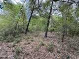 19678 Walsh Road - Photo 7