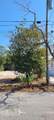 316 Hibiscus Drive - Photo 3