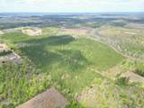 30 Acres Melvin Road - Photo 4