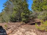 TBD Willow Bend Drive - Photo 2