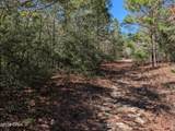 TBD Willow Bend Drive - Photo 3