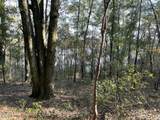 0000 Bent Oaks Road - Photo 14