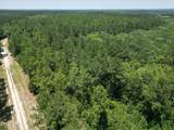 Lot 88 Turkey Oak Trail - Photo 2