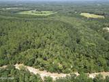 Lot 88 Turkey Oak Trail - Photo 3