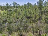 602 Dogwood Way - Photo 4