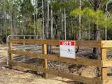 Lot 9 Pleasant Hill Road - Photo 2