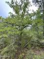0000 Marville Drive - Photo 4