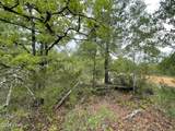 0000 Marville Drive - Photo 5
