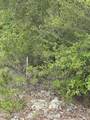 0000 Marville Drive - Photo 9