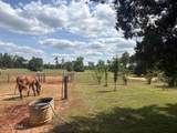 3761 Highway 231 - Photo 39