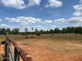 3761 Highway 231 - Photo 40