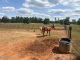 3761 Highway 231 - Photo 41