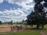 3761 Highway 231 - Photo 43