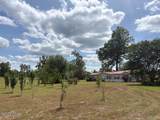 3761 Highway 231 - Photo 74
