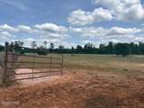 3761 Highway 231 - Photo 81
