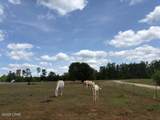 3761 Highway 231 - Photo 83