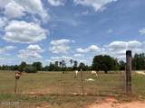 3761 Highway 231 - Photo 84
