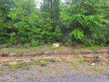 See Plot # Pinetree Lane - Photo 3