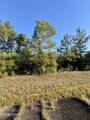 Lot 3 Abbott Street - Photo 3